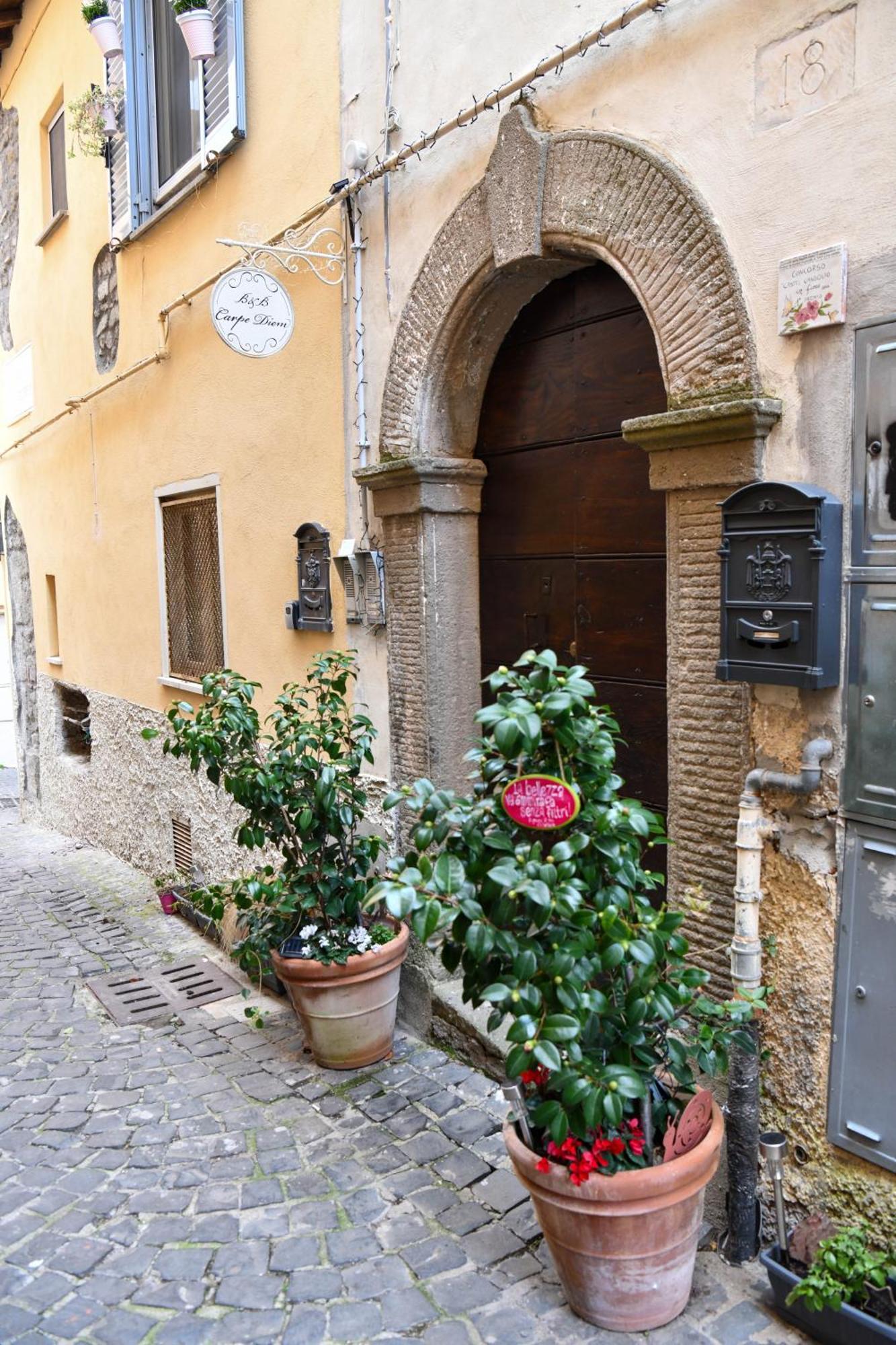 B&B Carpe Diem Vista Lago Castel Gandolfo Buitenkant foto